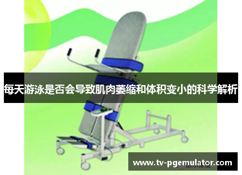 每天游泳是否会导致肌肉萎缩和体积变小的科学解析