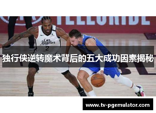 独行侠逆转魔术背后的五大成功因素揭秘