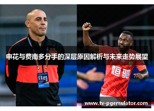 申花与费南多分手的深层原因解析与未来走势展望