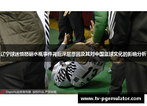 辽宁球迷愤怒砸水瓶事件背后深层原因及其对中国篮球文化的影响分析