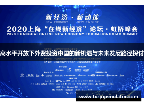 高水平开放下外资投资中国的新机遇与未来发展路径探讨