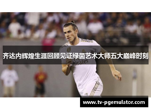 齐达内辉煌生涯回顾见证绿茵艺术大师五大巅峰时刻