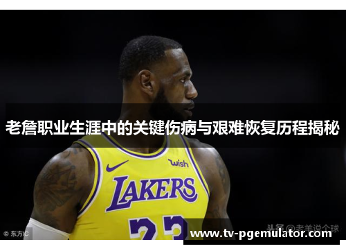 老詹职业生涯中的关键伤病与艰难恢复历程揭秘