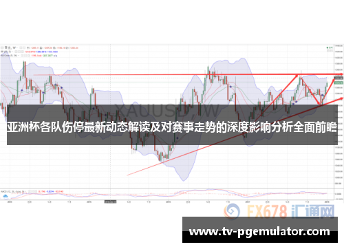 亚洲杯各队伤停最新动态解读及对赛事走势的深度影响分析全面前瞻
