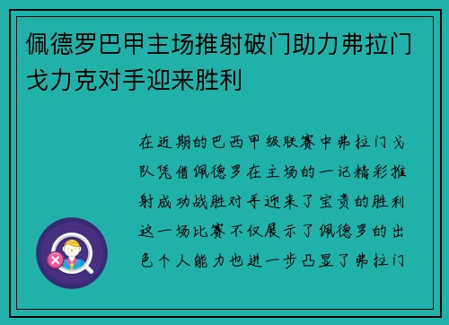 佩德罗巴甲主场推射破门助力弗拉门戈力克对手迎来胜利