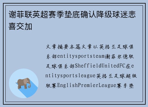 谢菲联英超赛季垫底确认降级球迷悲喜交加